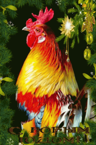 Hen Cock GIF
