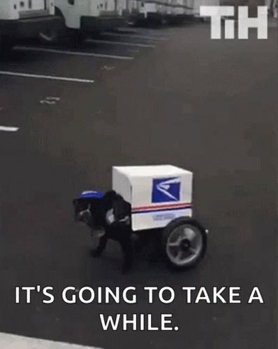 Her Comes The Mail Mail Dog GIF
