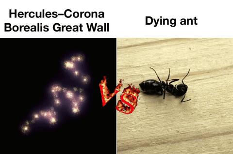 Hercules-corona Borealis Great Wall Dyingant GIF