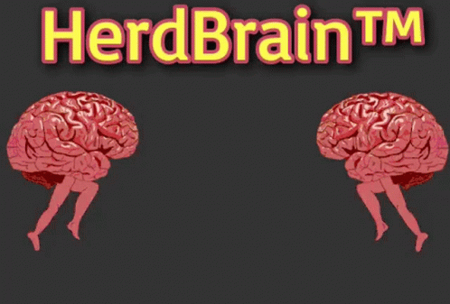 Herdbrain GIF