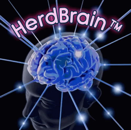 Herdbrain GIF