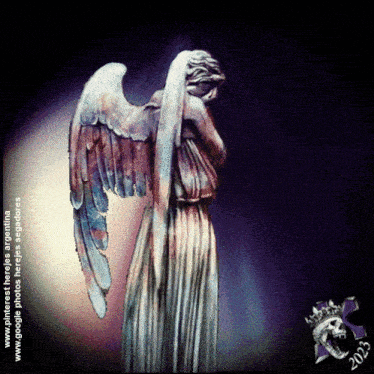 Herjes Gif GIF