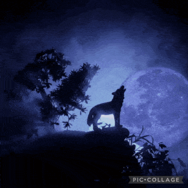 Hermescdl Lucianacdl GIF