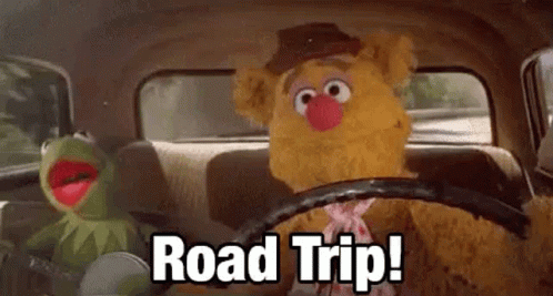Hermit The Frog Road Trip GIF