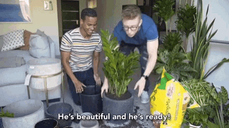 Hes Beautiful And Hes Ready Plant Daddy GIF
