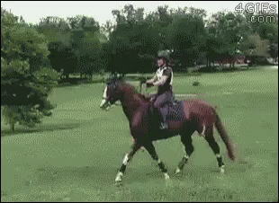 Hesitate Nailed GIF. This 310 x 226 animated GIF is part of our horse kick collection. Related themes include horse. View the original animation, share it…