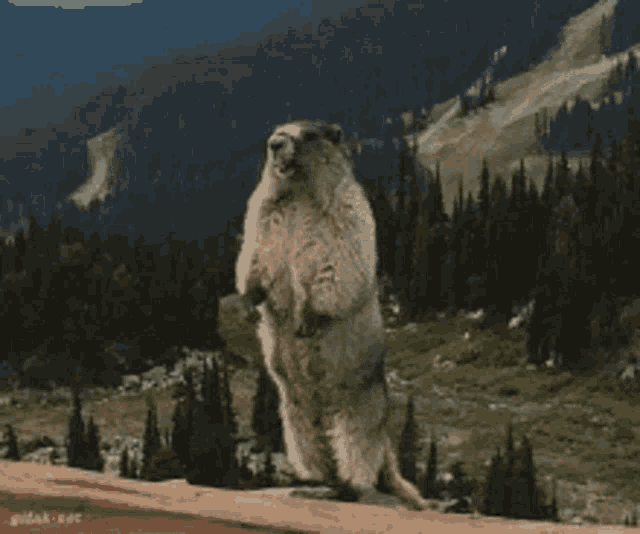 Hey Danny GIF