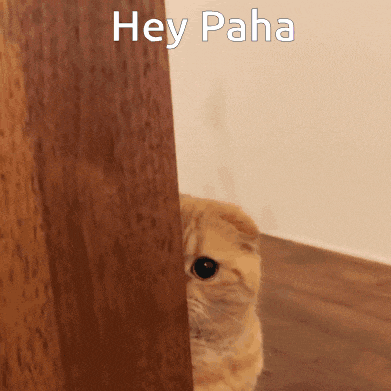 Hey Paha Pahakissa GIF