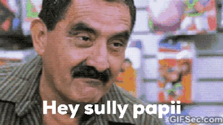 Hey Sully Papi GIF