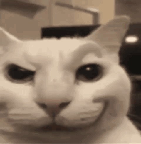Hey There Hello GIF