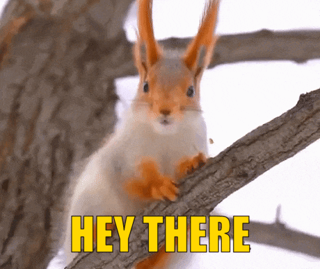 Hey There Hello GIF