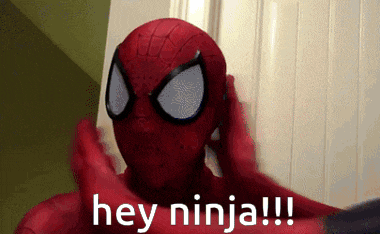 Heyninja Tgv GIF