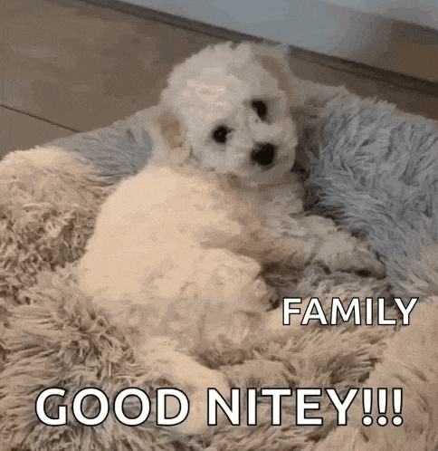 Hi Bye GIF