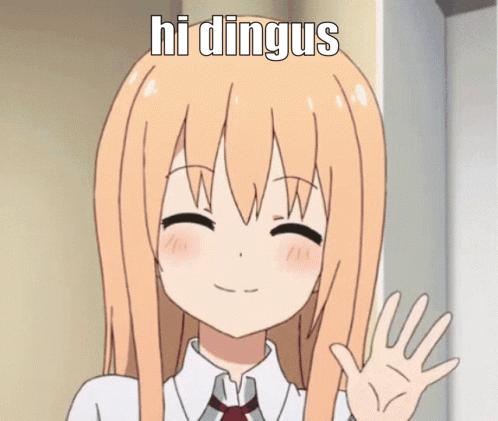 Hi Dingus Top Dingus GIF