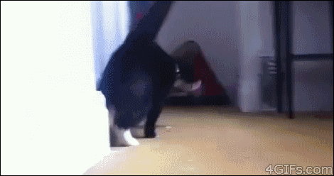 Hi Everyone. GIF