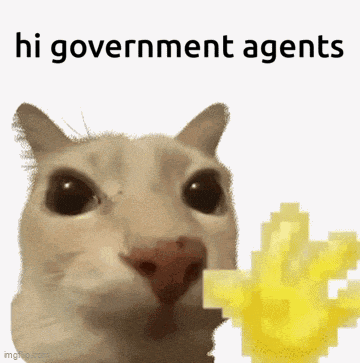 Hi Government Agents GIF