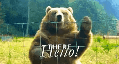 Hi Hello GIF. This 410 x 220 animated GIF is part of our bear waving collection. Related themes include bear, hello, wave. Created by daysi129. View the…