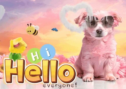 Hi Hello GIF