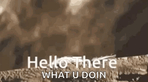 Hi Hello GIF