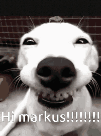 Hi Hello GIF