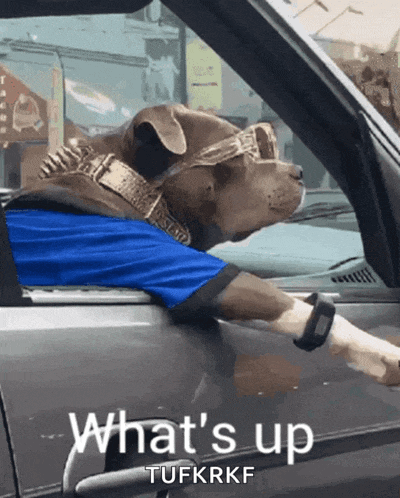 Hi Hello There GIF