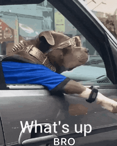 Hi Hello There GIF