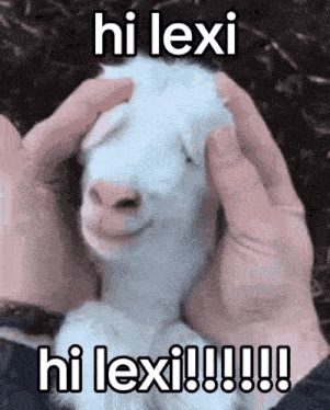 Hi Hello GIF