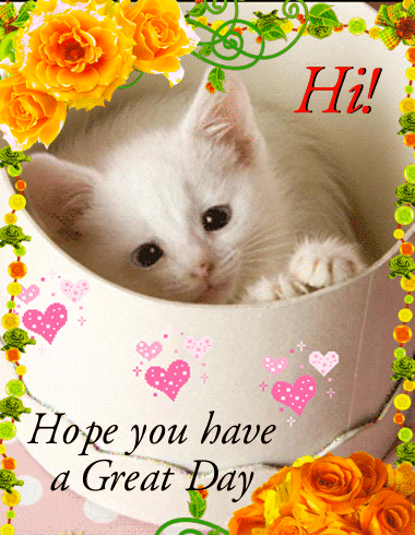 Hi Kitty Hi GIF. This 380 x 490 animated GIF is part of our have a great day collection. Related themes include cat, hello. Created by Mannysoriano. View…