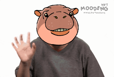 Hi Morning GIF