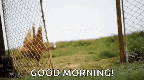 Hi Running Late GIF