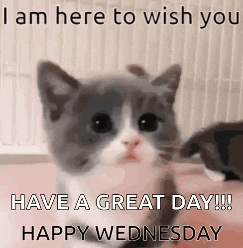 Hi There GIF