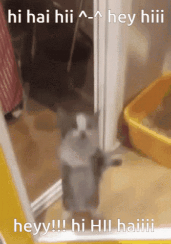 Hi GIF