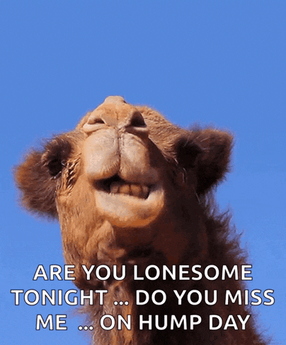 Hi GIF
