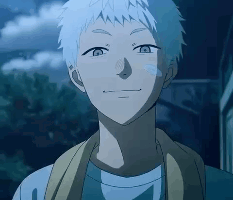 Hiakru The Summer Hikaru Died GIF