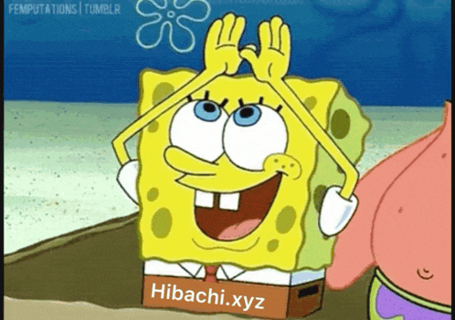 Hibachi Provable GIF
