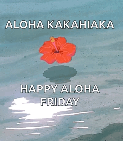 Hibiscus Aesthetically GIF