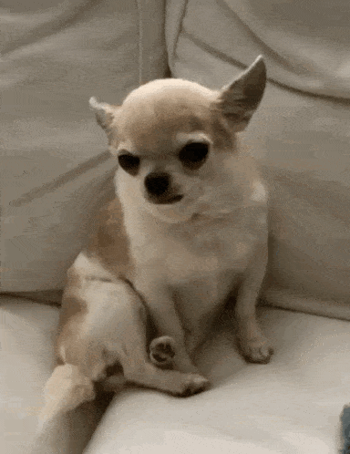 High Five Hi5 GIF