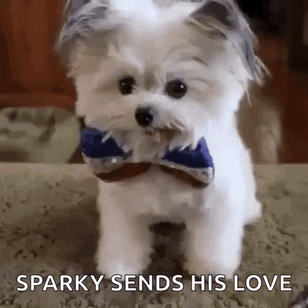Highfive Puppy GIF. This 450 x 450 animated GIF is part of our que te debo collection. Related themes include cute, funny, paw. Created by sparky2026. View…