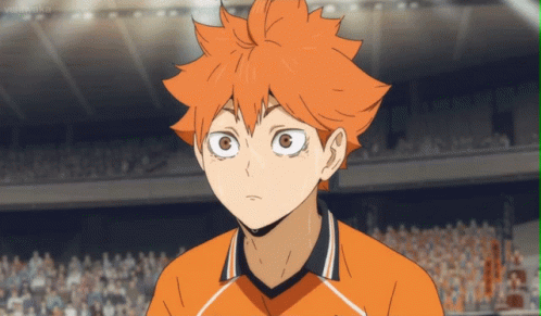 Hinata Shouyou Shoyo GIF