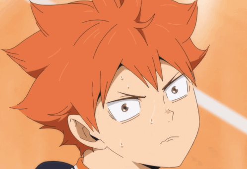 Hinata Shoyo Shouyou GIF
