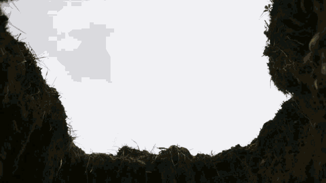 Hip Hop Rap GIF