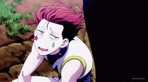 Hisoka Anime GIF