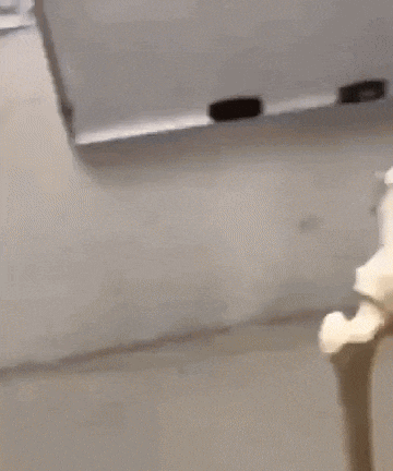 Hmm Hmmm GIF