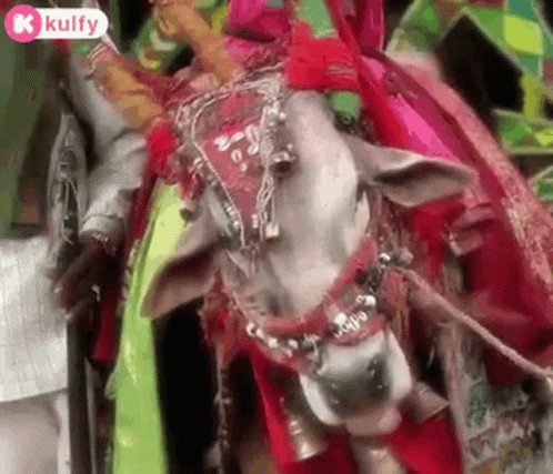 Hmm Sare GIF. This 498 x 427 animated GIF is part of our bhogi wishes collection. Related themes include done, gif, hmm. Created by kulfy. View the original…