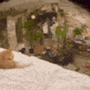 Hmm Sus GIF