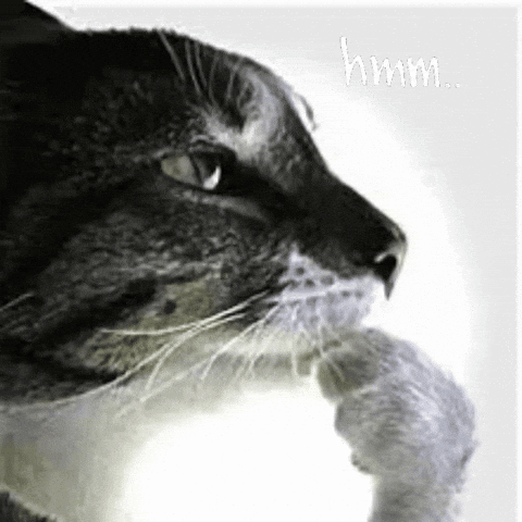 Hmmmm GIF
