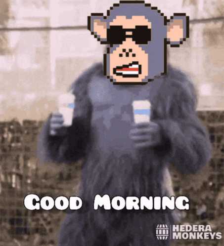 Hmnky Monkey GIF