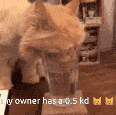 Hobs 0 GIF