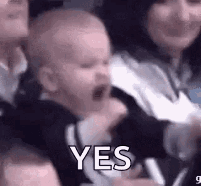 Hockey Fan Gooilers GIF
