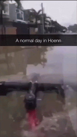 Hoenn Pokemon Hoenn GIF